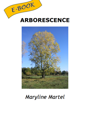 Arborescence (version PDF)