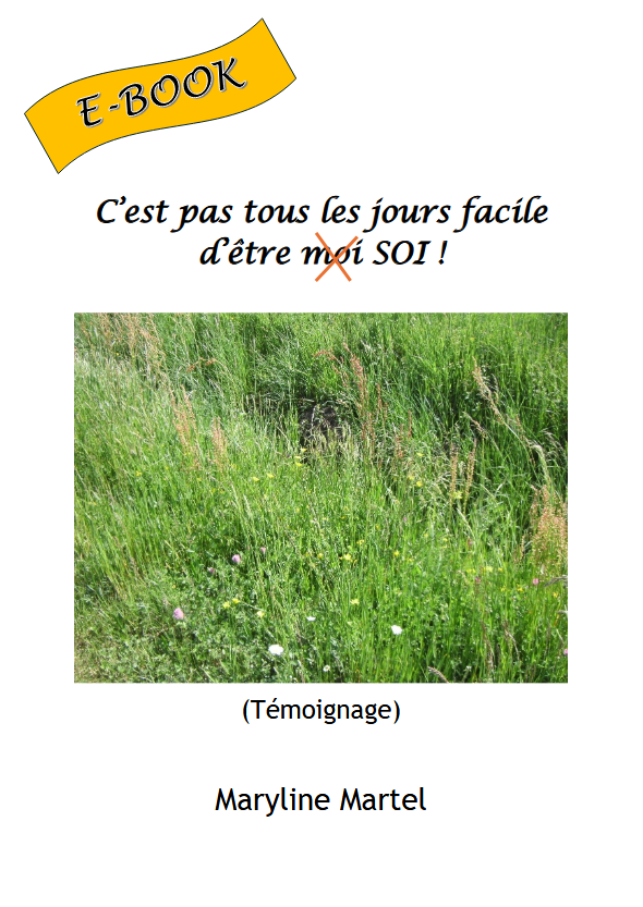 C'est pas tous les jours facile d'être (moi) SOI ! (version PDF)